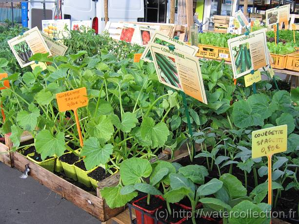 2007-05-12_08-21-18_Mai_37,6mm_1_80_eme_Canon PowerShot A95 